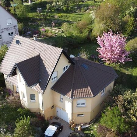Chez Olivier et Josette Leilighet Illfurth Eksteriør bilde