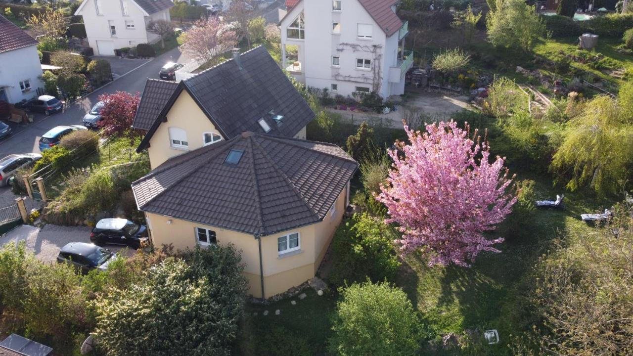 Chez Olivier et Josette Leilighet Illfurth Eksteriør bilde